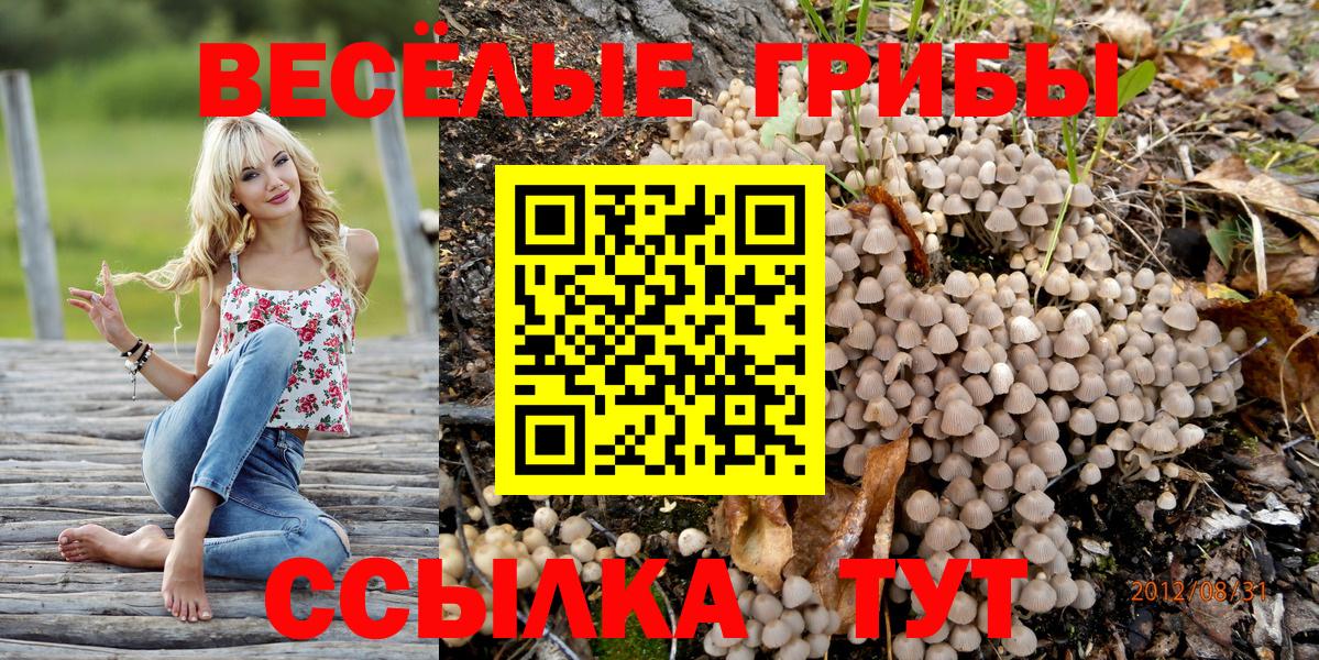 Галлюциногенные грибы мухоморы Новотроицк